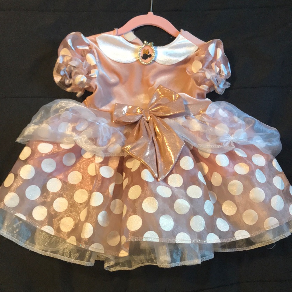 Disney Minnie Mouse Costume